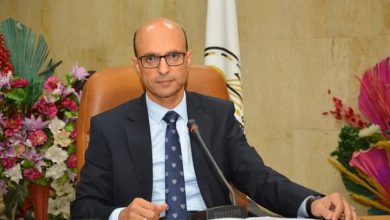 د. أحمد المنشاوي