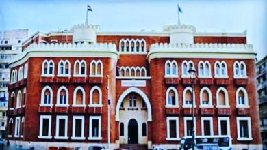 جامعة الإسكندرية