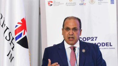 د. محمد لطفي رئيس الجامعة البريطانية في مصر