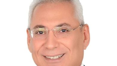 د. عصام الدين فرحات رئيس جامعة المنيا