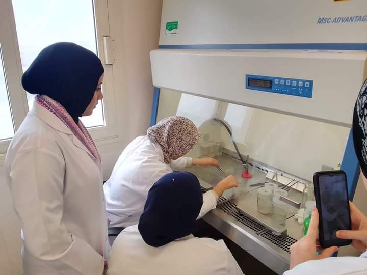 مدينة الأبحاث العلمية تنظم المدارس الشتوية لتدريب طلاب الجامعات المصرية