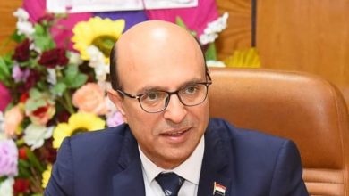 د. أحمد المنشاوي