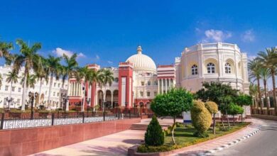 الجامعة البريطانية في مصر