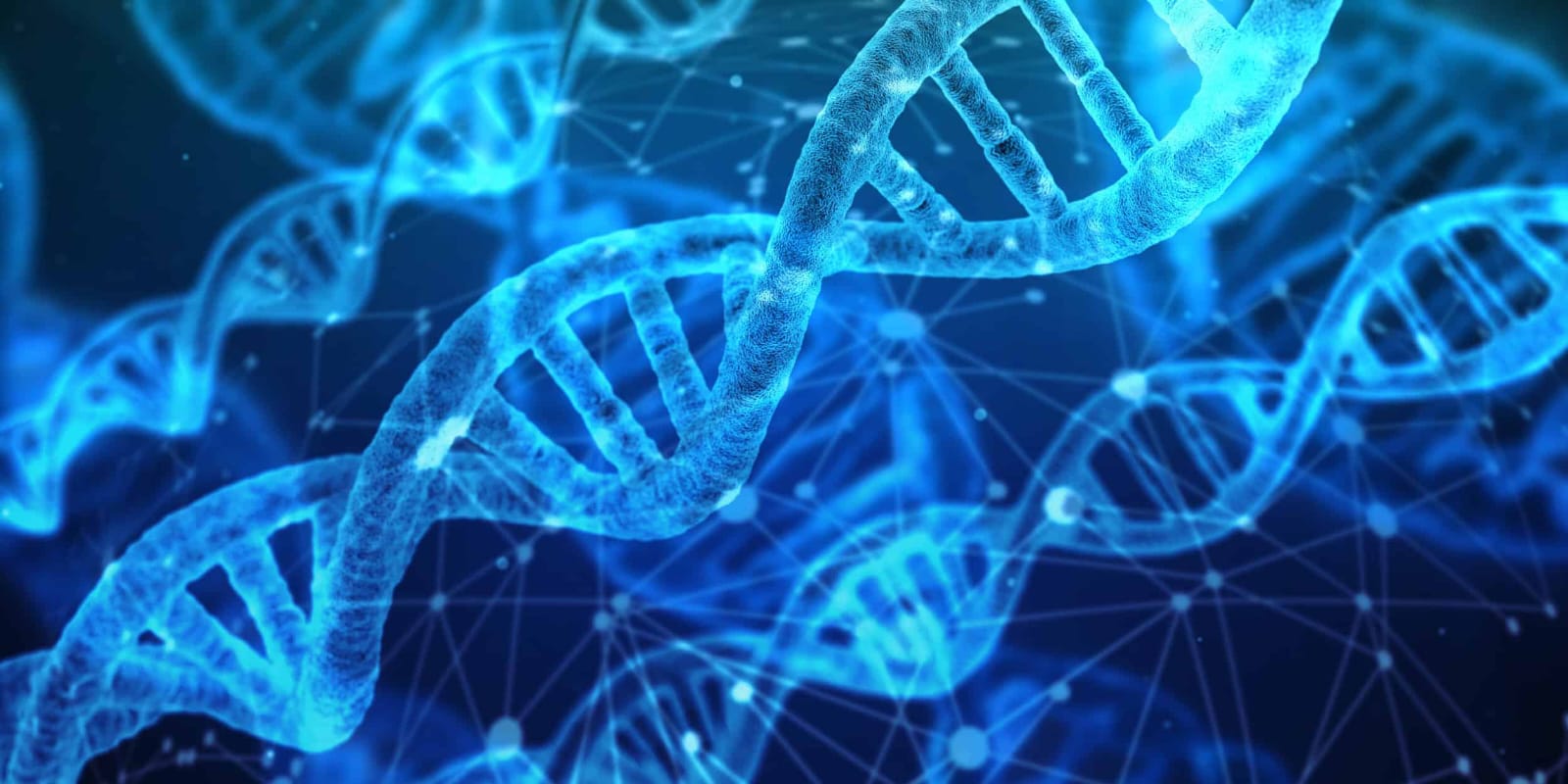 جامعة حلوان الأهلية تطرح برنامج جديد عن "التكنولوجيا الحيوية والهندسة الوراثية"