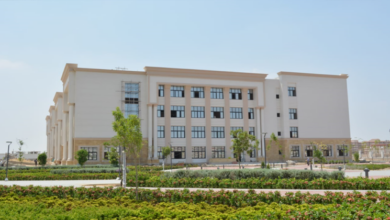 جامعة الإسماعيلية الجديدة الأهلية