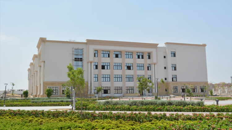 جامعة الإسماعيلية الجديدة الأهلية
