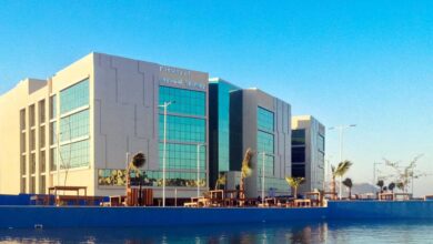 جامعة ميريت