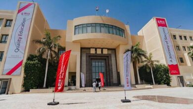 جامعة مصر الدولية