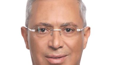 د. ولاء شتا