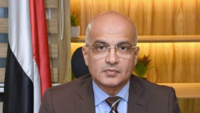 د. محمد ضياء زين العابدين