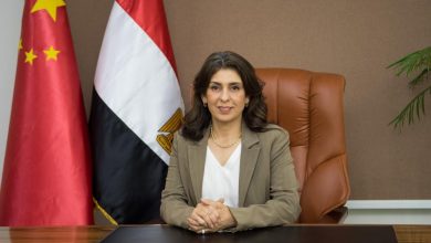 د. رشا الخولي
