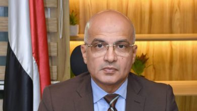 د. محمد ضياء زين العابدين