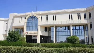 الجامعة الفرنسية في مصر (UFE)