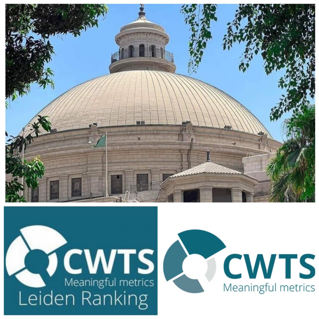 في التخصصات الخمسة الرئيسية وفقا لتصنيف ليدن الهولندي.. جامعة القاهرة تتصدر الجامعات المصرية والإفريقية