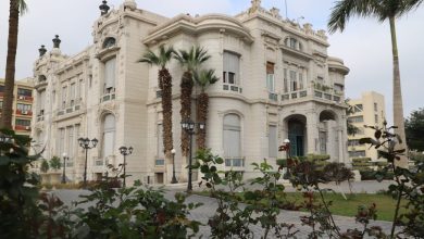 جامعة عين شمس