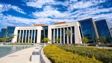 جامعة مصر للمعلوماتية