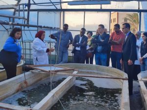 معهد علوم البحار والمصايد يستقبل وفدًا دوليًا لتعزيز التعاون في الاقتصاد الأزرق ضمن برامج الاستزراع المائي