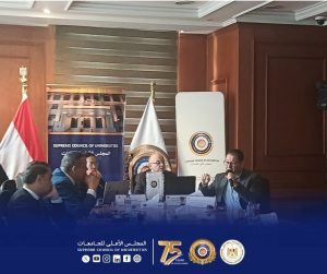 المجلس الأعلى للجامعات ينظم ورشة عمل لدعم وتعزيز الأبحاث والبرامج البينية