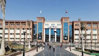 جامعة القاهرة الجديدة التكنولوجية