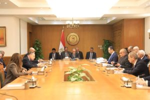 اجتماع تنسيقي بمشاركة وزراء الخارجية والتعليم والاتصالات والتعليم العالي لمتابعة قضايا المصريين بالخارج