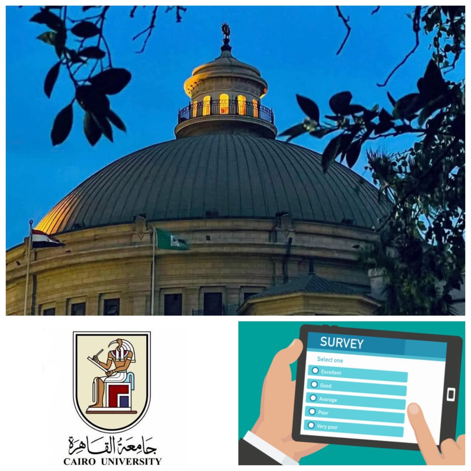 جامعة القاهرة تُطلق استبيانًا لخريجيها لرصد أوضاعهم في سوق العمل وتعزيز توافق البرامج الدراسية مع متطلباته