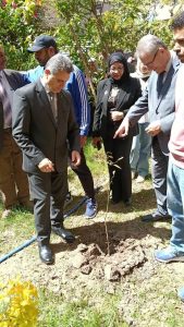 بصمة خضراء تدوم للأجيال القادمة.. انطلاق فعاليات مهرجان تشجير حدائق كلية طب جامعة بنها