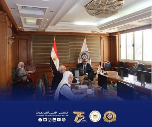 أمين المجلس الأعلى للجامعات يرأس اجتماع لجنة المعادلات الدوري.. (تفاصيل)