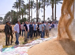 رئيس جامعة القاهرة يتفقد محطة التجارب والبحوث الزراعية بكلية الزراعة