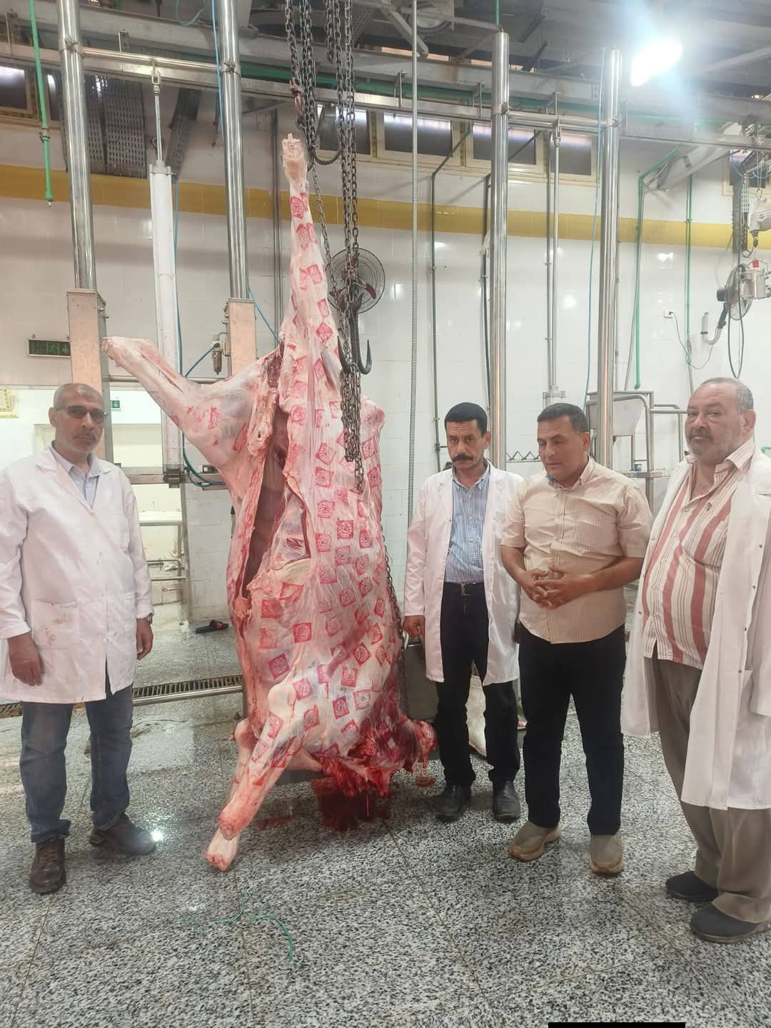 خلال التشغيل التجريبي.. طب بيطري السادات تُعلن جاهزية مجزر شبين الكوم المطور لاستقبال الأضاحي