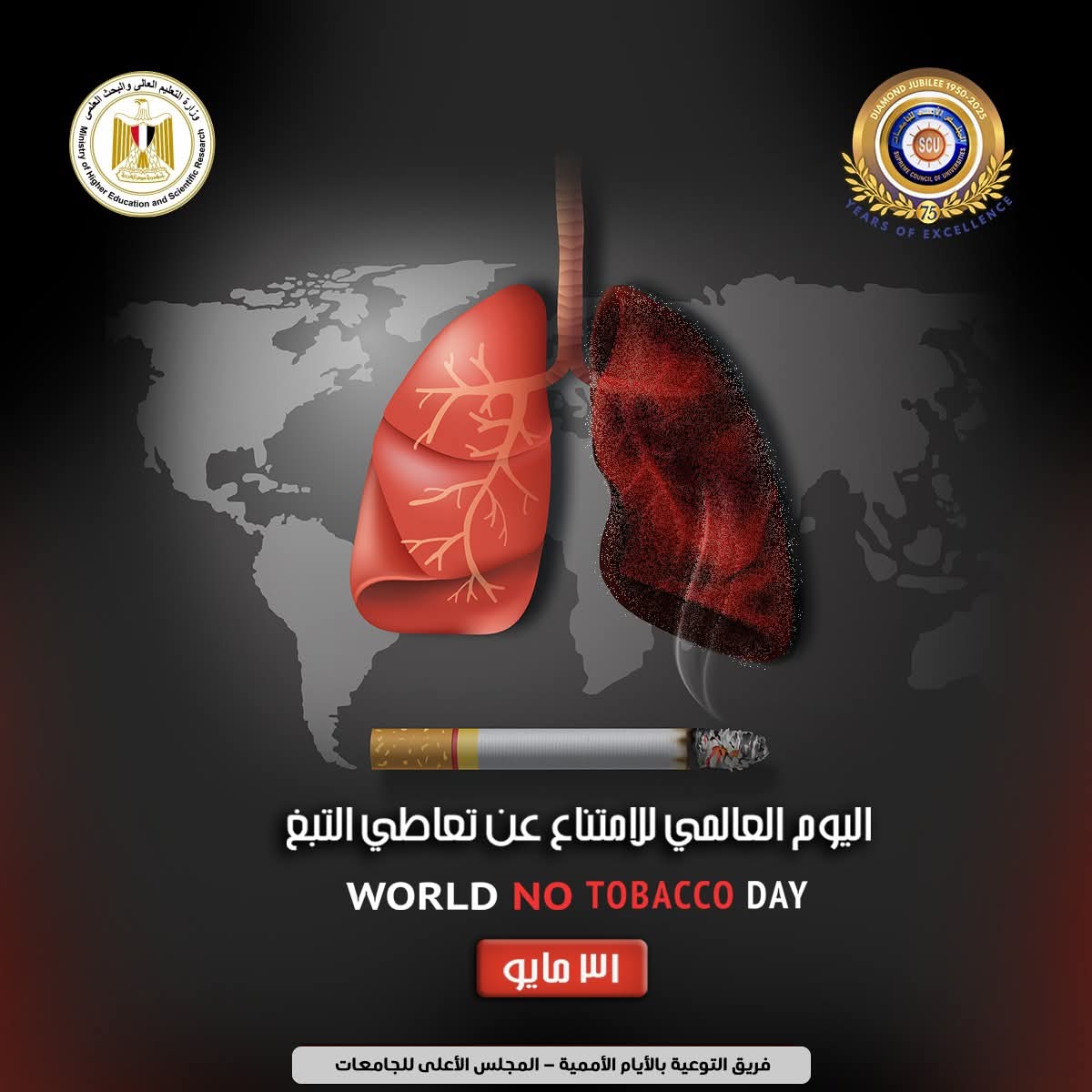 في اليوم العالمي للامتناع عن تعاطي التبغ.. "الأعلي للجامعات" ينفذ العديد من الأنشطة التوعوية للطلاب