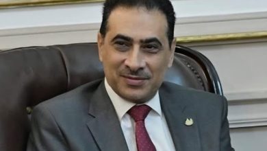 د. محمود السعيد